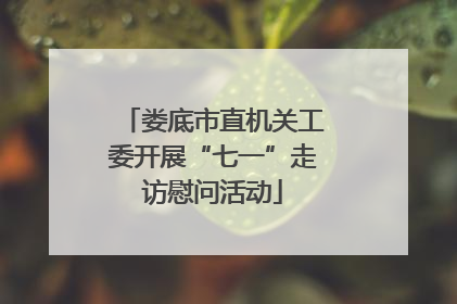 娄底市直机关工委开展“七一”走访慰问活动