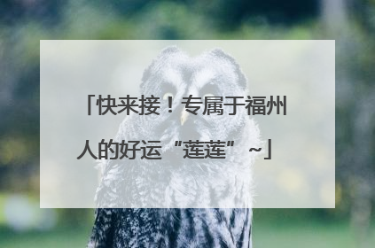 快来接！专属于福州人的好运“莲莲”~