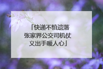 快递不慎遗落 张家界公交司机仗义出手暖人心