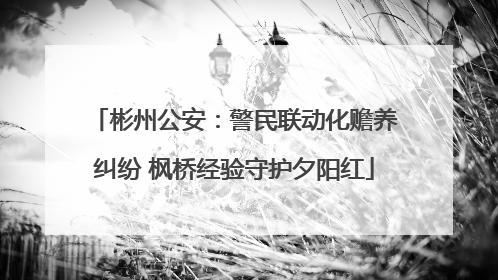 彬州公安：警民联动化赡养纠纷 枫桥经验守护夕阳红