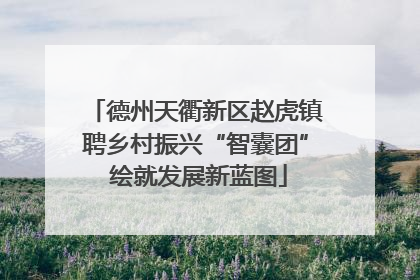 德州天衢新区赵虎镇聘乡村振兴“智囊团” 绘就发展新蓝图
