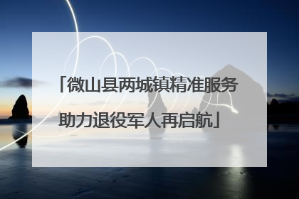 微山县两城镇精准服务助力退役军人再启航