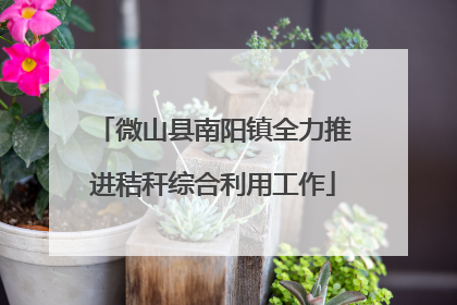 微山县南阳镇全力推进秸秆综合利用工作