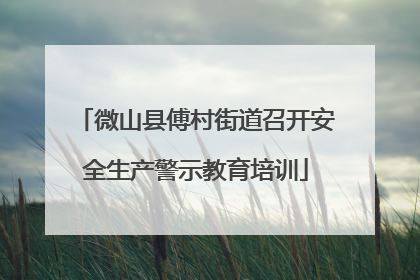 微山县傅村街道召开安全生产警示教育培训