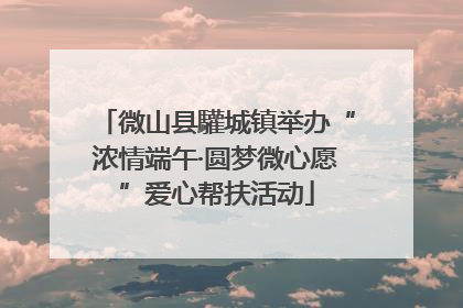 微山县驩城镇举办“浓情端午·圆梦微心愿”爱心帮扶活动