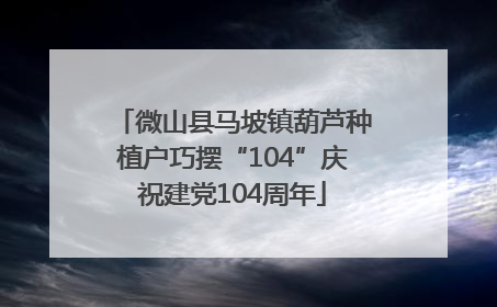 微山县马坡镇葫芦种植户巧摆“104”庆祝建党104周年