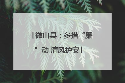 微山县：多措“廉”动 清风护安