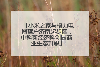 小米之家与格力电器落户济南起步区，中科新经济科创园商业生态升级