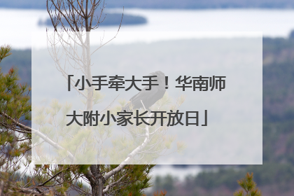 小手牵大手！华南师大附小家长开放日