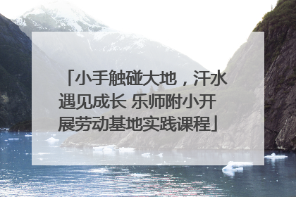 小手触碰大地，汗水遇见成长 乐师附小开展劳动基地实践课程