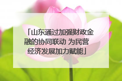 山东通过加强财政金融的协同联动 为民营经济发展加力赋能