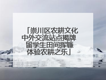 崇川区农耕文化中外交流站点揭牌 留学生田间挥镰体验农耕之乐