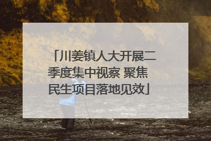 川姜镇人大开展二季度集中视察 聚焦民生项目落地见效
