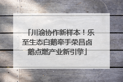 川渝协作新样本！乐至生态白鹅牵手荣昌卤鹅点燃产业新引擎