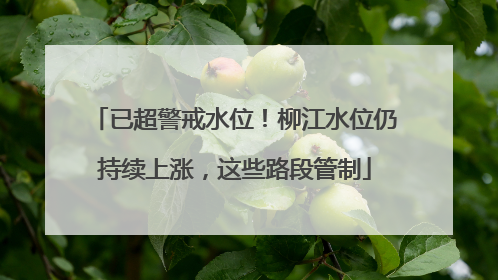 已超警戒水位！柳江水位仍持续上涨，这些路段管制