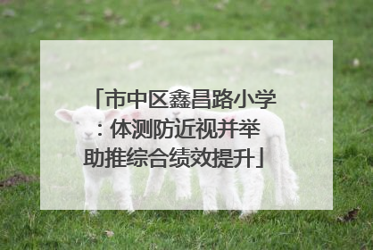 市中区鑫昌路小学：体测防近视并举 助推综合绩效提升