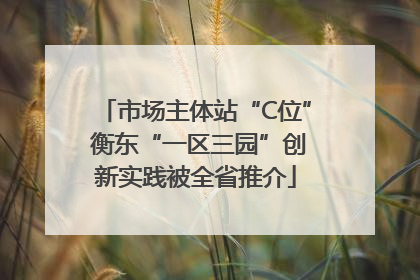 市场主体站“C位” 衡东“一区三园”创新实践被全省推介