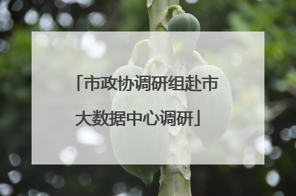 市政协调研组赴市大数据中心调研