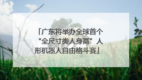 广东将举办全球首个“全尺寸类人身高”人形机器人自由格斗赛