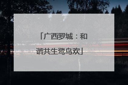 广西罗城：和谐共生鹭鸟欢