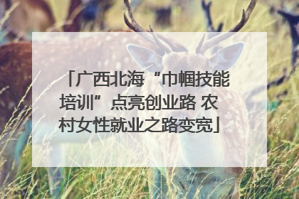 广西北海“巾帼技能培训”点亮创业路 农村女性就业之路变宽