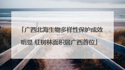 广西北海生物多样性保护成效明显 红树林面积居广西首位