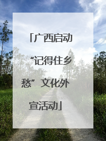 广西启动“记得住乡愁”文化外宣活动