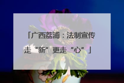 广西荔浦：法制宣传走“新”更走“心”