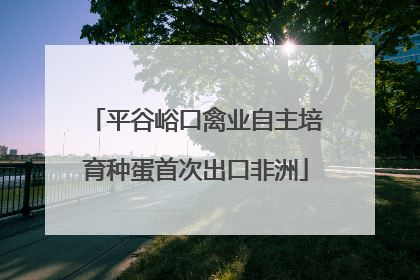 平谷峪口禽业自主培育种蛋首次出口非洲