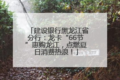 建设银行黑龙江省分行：龙卡“66节”惠购龙江，点燃夏日消费热浪！