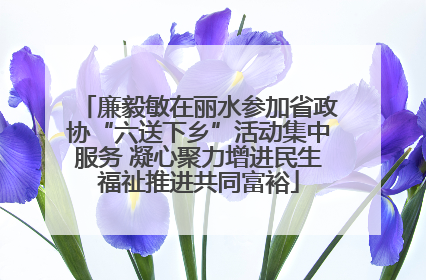 廉毅敏在丽水参加省政协“六送下乡”活动集中服务 凝心聚力增进民生福祉推进共同富裕