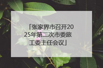 张家界市召开2025年第二次市委旅工委主任会议