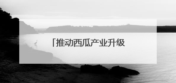 推动西瓜产业升级 助力乡村振兴