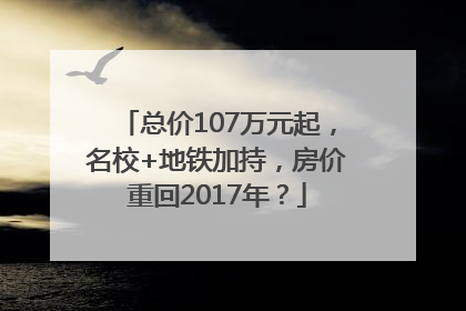 总价107万元起，名校+地铁加持，房价重回2017年？