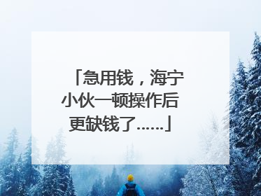 急用钱，海宁小伙一顿操作后更缺钱了……
