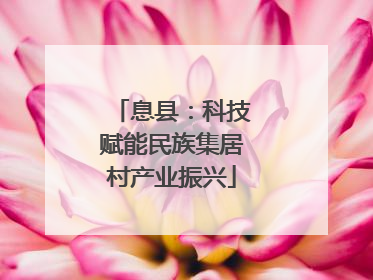 息县：科技赋能民族集居村产业振兴
