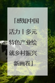 感知中国活力丨多元特色产业绘就乡村振兴新画卷