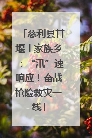 慈利县甘堰土家族乡：“汛”速响应！奋战抢险救灾一线