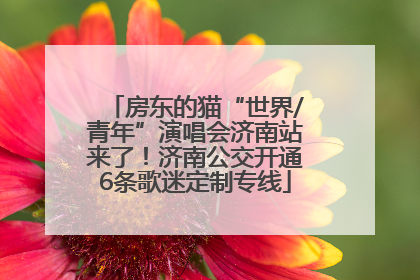房东的猫“世界/青年”演唱会济南站来了！济南公交开通6条歌迷定制专线
