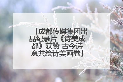 成都传媒集团出品纪录片《诗美成都》获赞 古今诗意共绘诗美画卷