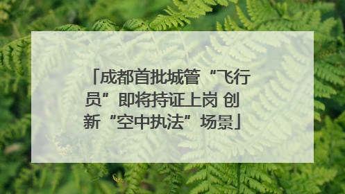 成都首批城管“飞行员”即将持证上岗 创新“空中执法”场景