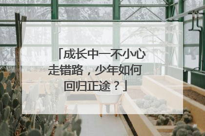成长中一不小心走错路，少年如何回归正途？