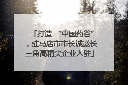打造 “中国药谷”，驻马店市市长诚邀长三角高精尖企业入驻