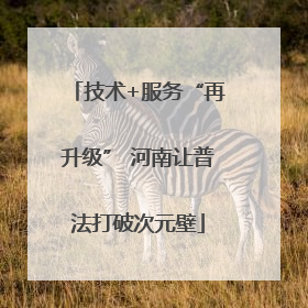 技术+服务“再升级” 河南让普法打破次元壁