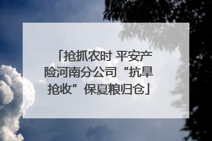 抢抓农时 平安产险河南分公司“抗旱抢收”保夏粮归仓