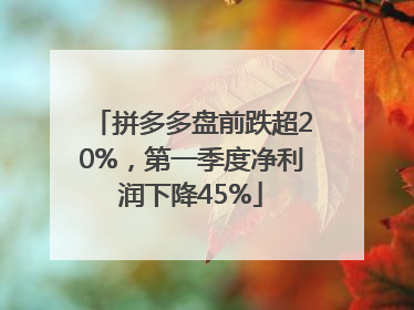 拼多多盘前跌超20%，第一季度净利润下降45%