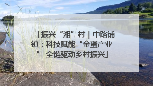 振兴“湘”村｜中路铺镇：科技赋能“金蛋产业” 全链驱动乡村振兴