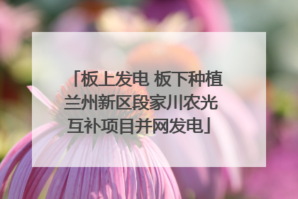 板上发电 板下种植 兰州新区段家川农光互补项目并网发电