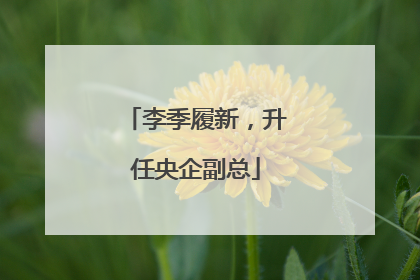 李季履新，升任央企副总
