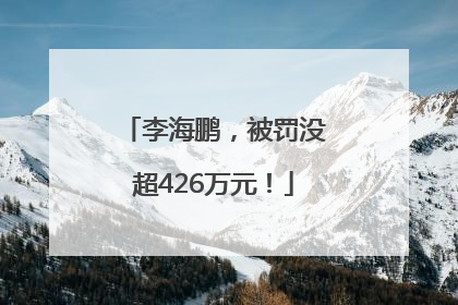李海鹏，被罚没超426万元！